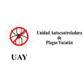 Uay