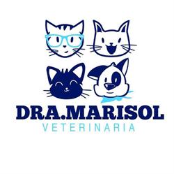 Veterinaria Dra. Marisol Cruz Castillejos