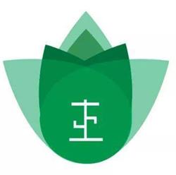Auriculoterapia Monterrey