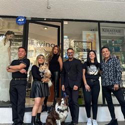 Living Hair Design