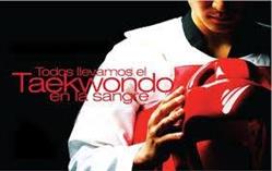Instituto Taekwondo Olímpico de México Tlatlauquitepec
