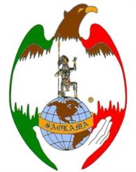 Organizacion Saolama