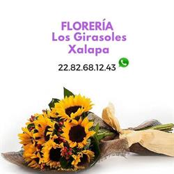 Florería Los Girasoles Xalapa