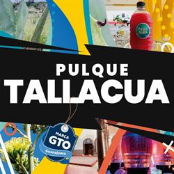 Pulquería Tallacua