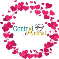 Central Animal