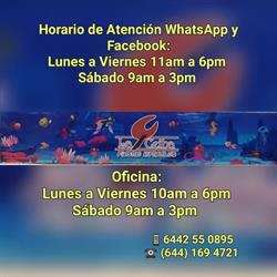 La Ceiba Fiestas Infantiles