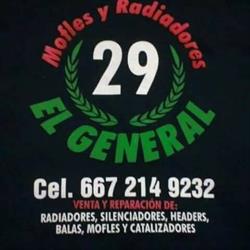 Mofles y radiadores el general
