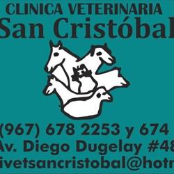 Clinica Veterinaria San Cristobal