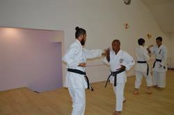 Karate-Do Dento Shito-Ryu, San Juan del Río QRO