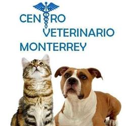 Centro Veterinario Monterrey