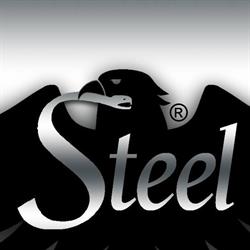 Custom Steel & Cafe Benzina