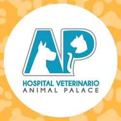 Hospital Veterinario Animal Palace