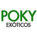 Poky Exoticos