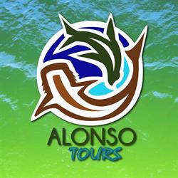 Alonso Tours