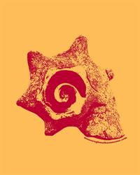 Museo Regional Huasteco A.C.