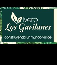 Vivero los Gavilanes