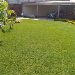 Los Reyes, Jardin de Eventos