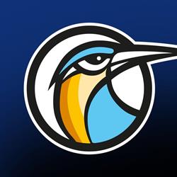 Kingbird
