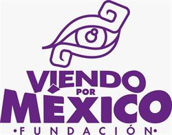 Fundación Viendo por México