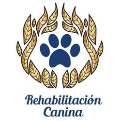 Rehabilitacion canina