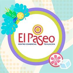 Centro Comercial El Paseo Tehuacan