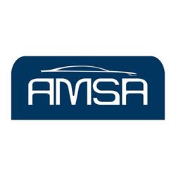 AMSA Automovilística de México