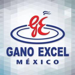 Gano Excel Mexico Pioneros Diamante Américas