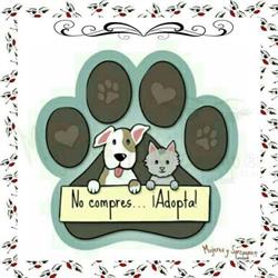 Clínica Veterinaria Animal Paradise