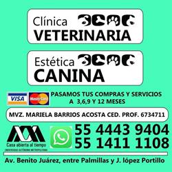 Clínica veterinaria Can & Cat