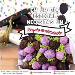 Apple Decoracion Los Mochis