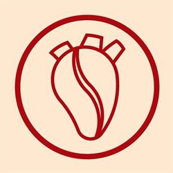 CaffeCito Toluca Waffles, Crepas & Bagels