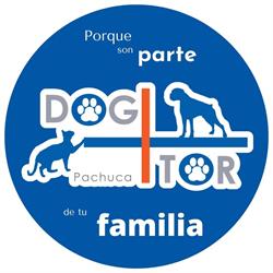Especialidades veterinarias Dog+tor