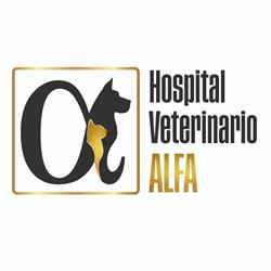 HOSPITAL VETERINARIO ALFA