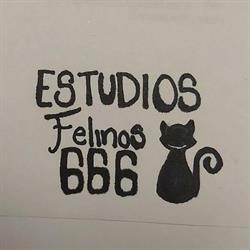 Estudios Felinos 666