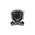 Grupo Balam