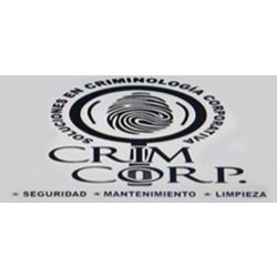 Soluciones En Criminología Corporativa