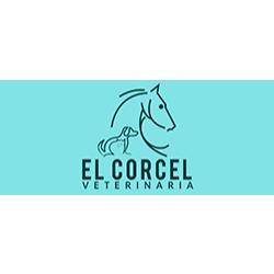 Veterinaria El Corcel