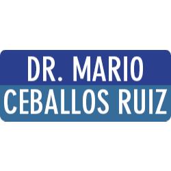 Dr. Mario Ceballos Ruiz