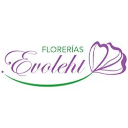 Florería Evoleth
