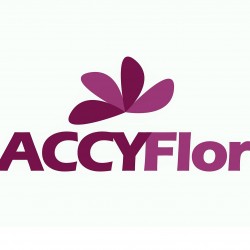 Accyflor