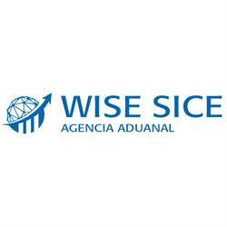 Agencia Aduanal Wise