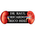 Dr. Raul R. Rico Hdz.