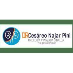 Dr. Cesáreo Najar Pini