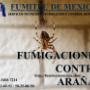 fumigacion contra arañas