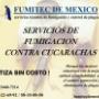 fumigacion contra cucarachas