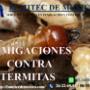 fumigacion contra termitas