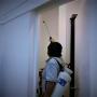 servcio de fumigacion contra arañas