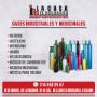GASES