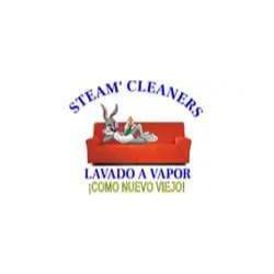 Steam Cleaners