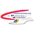 Profesionales En Pintura Y Acabados Sa De Cv